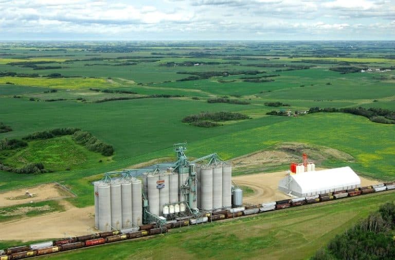 2671 Camrose 768x507