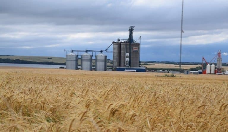 2674 Provost AB3 1 768x444