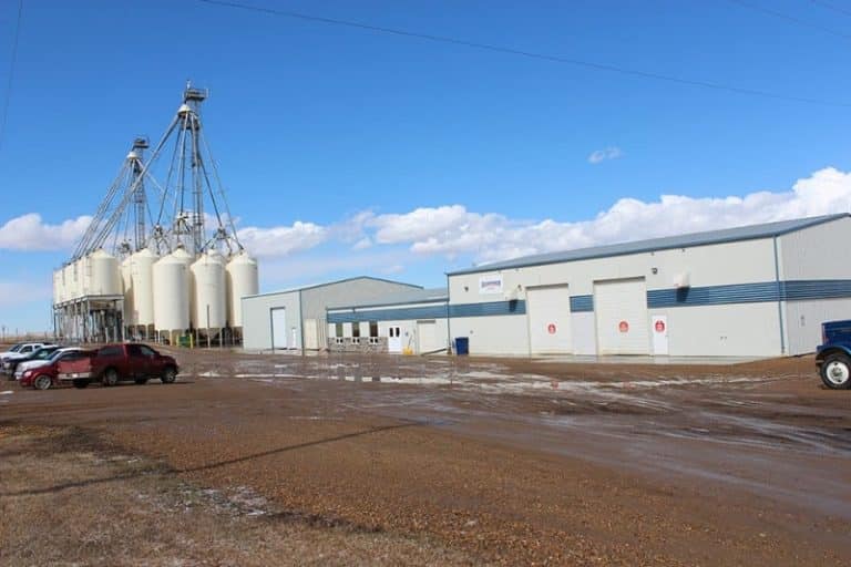 2679 Hussar IMG 5215 768x512