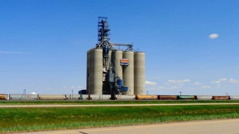 2690 Reed Lake 768x432