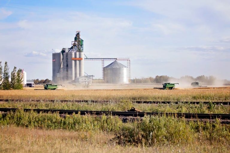 2726 2016PC Jennifer Maleschuk Wadena SK1 768x512