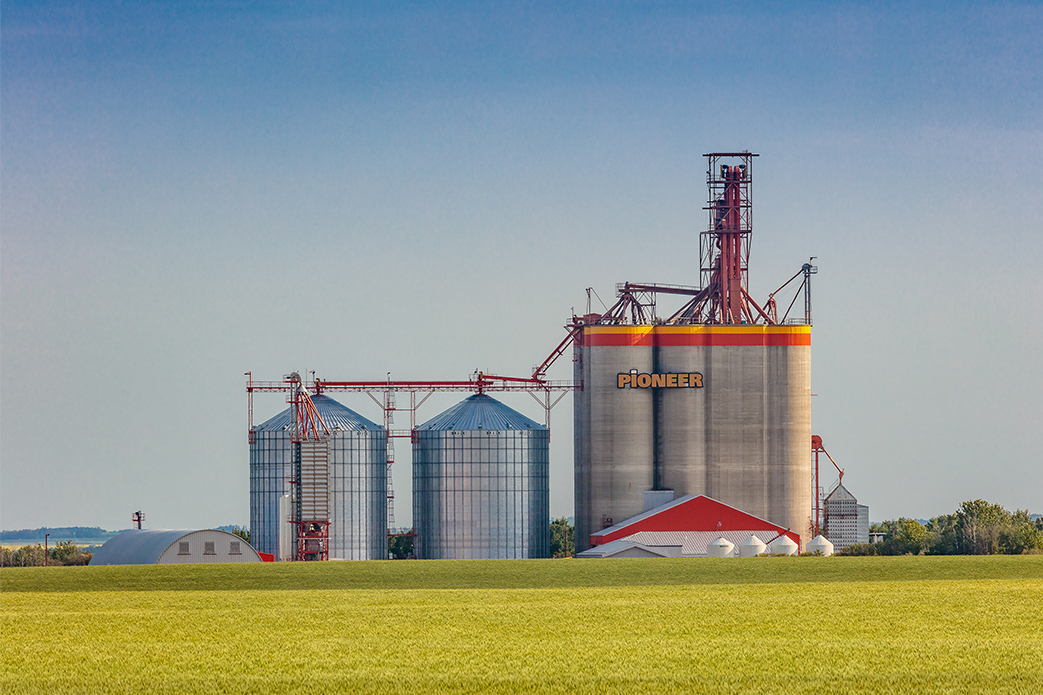 Featured image for “Richardson Set to Build New High Throughput Grain Elevator in Carmichael, Saskatchewan”