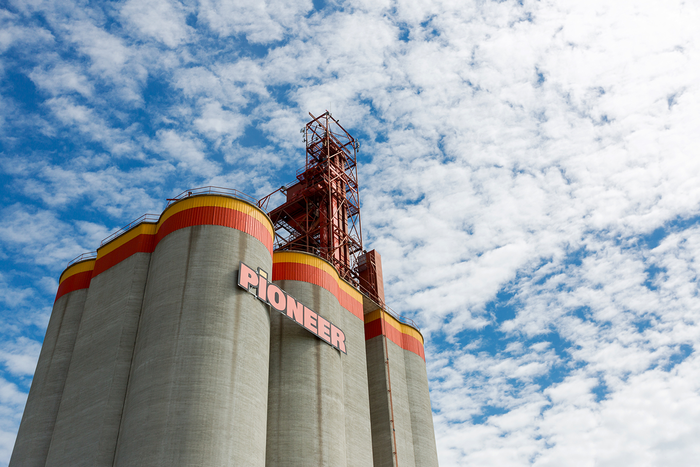 Featured image for “Richardson to Build New High Throughput Grain Elevator in Huallen, Alberta”