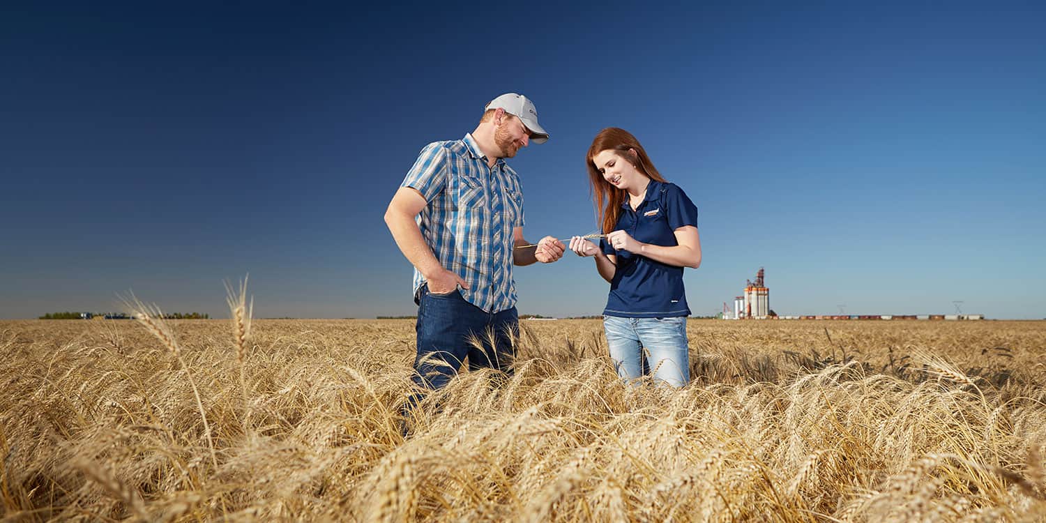 Featured image for “RICHARDSON PIONEER INTRODUCES STATE-OF-THE-ART AGRONOMY PLATFORM”